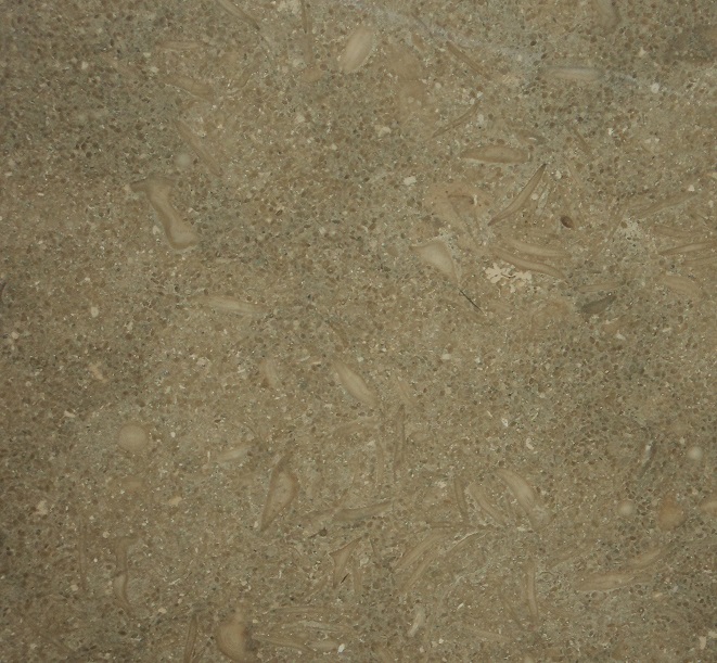 RUSTIC GREEN.jpg